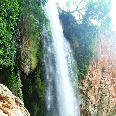 Estanco Castillo , Castellon N°24